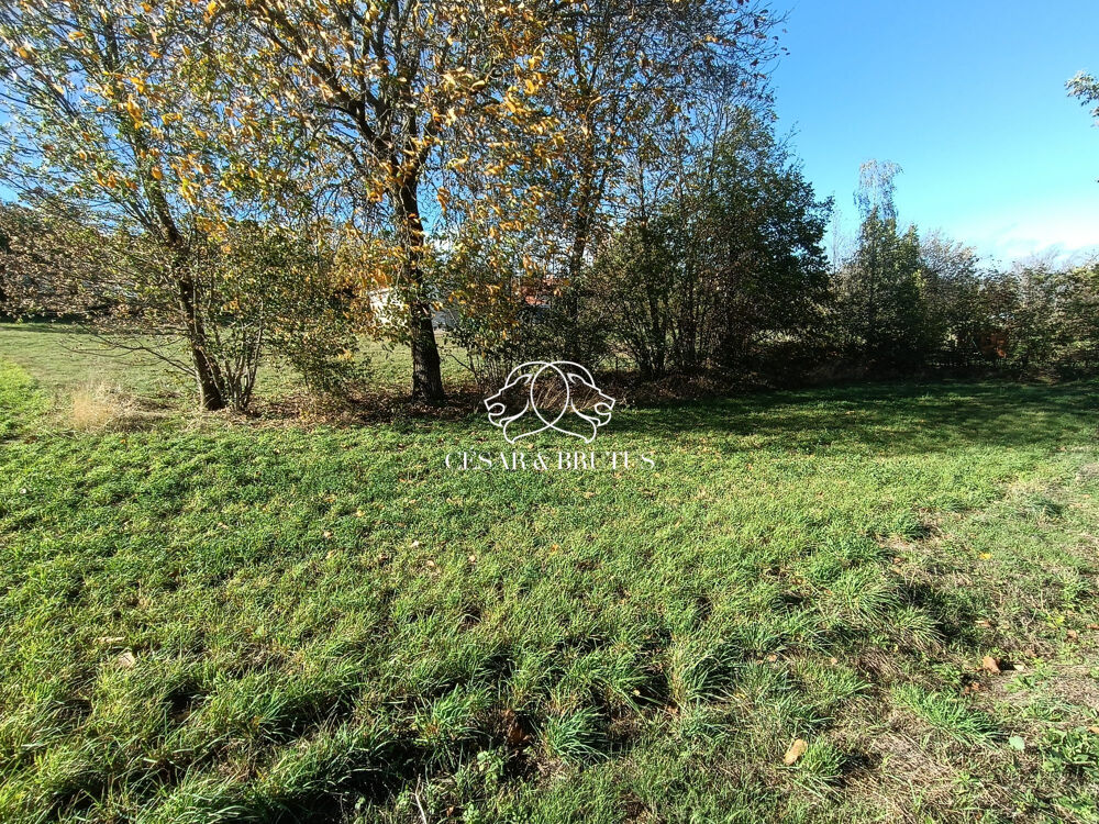 Vente Terrain Terrain Constructible Beaux