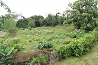  Terrain  vendre 4182 m