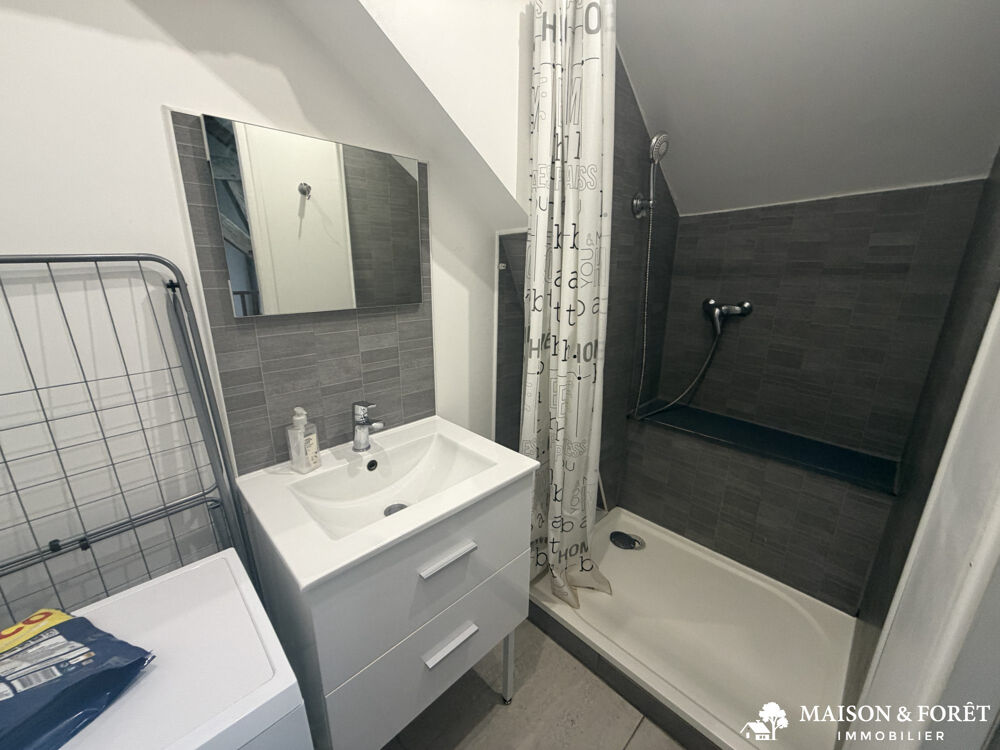 Vente Immeuble IMMEUBLE DE RAPPORT Saint-firmin-sur-loire
