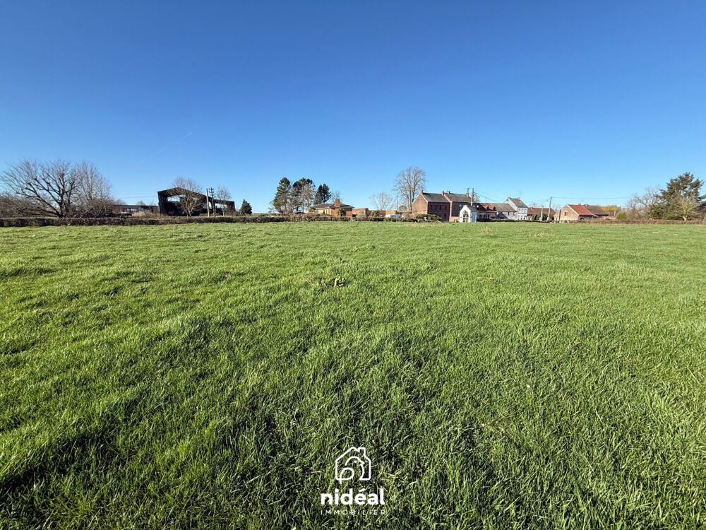   TERRAIN CONSTRUCTIBLE 25m DE FACADE Vieux-reng