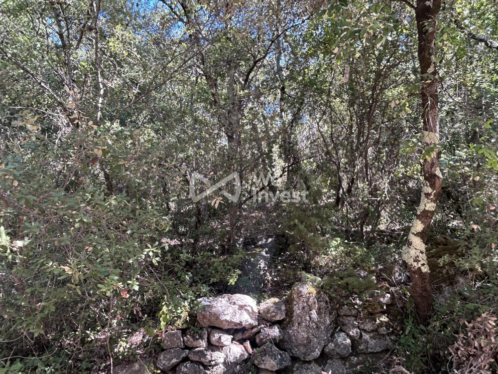 Vente Terrain À vendre – Terrain en zone naturelle – Camps-la-Source (831 Camps-la-source