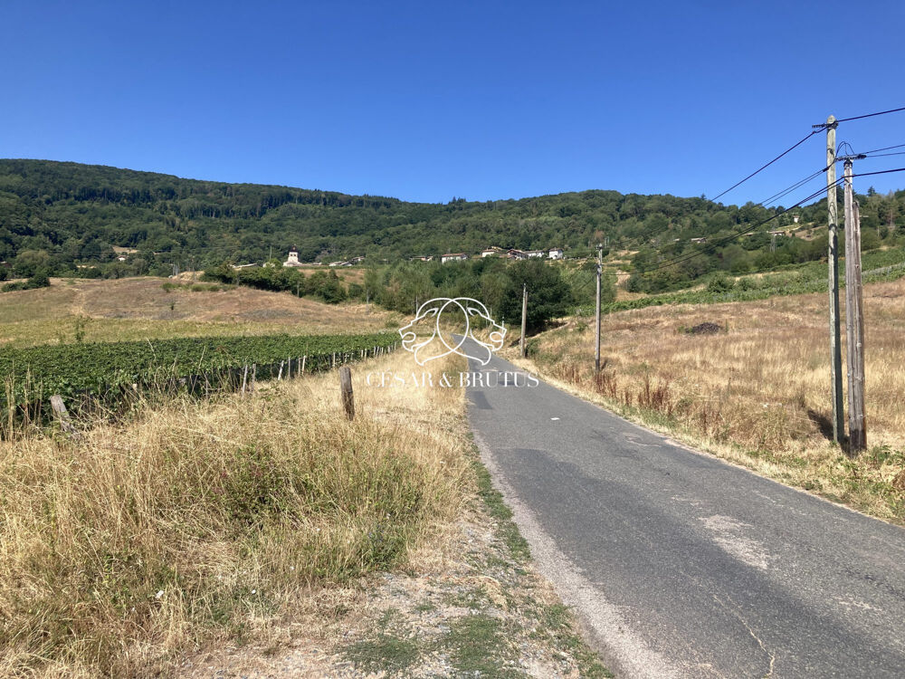 Vente Terrain Terrain agricole Vauxrenard