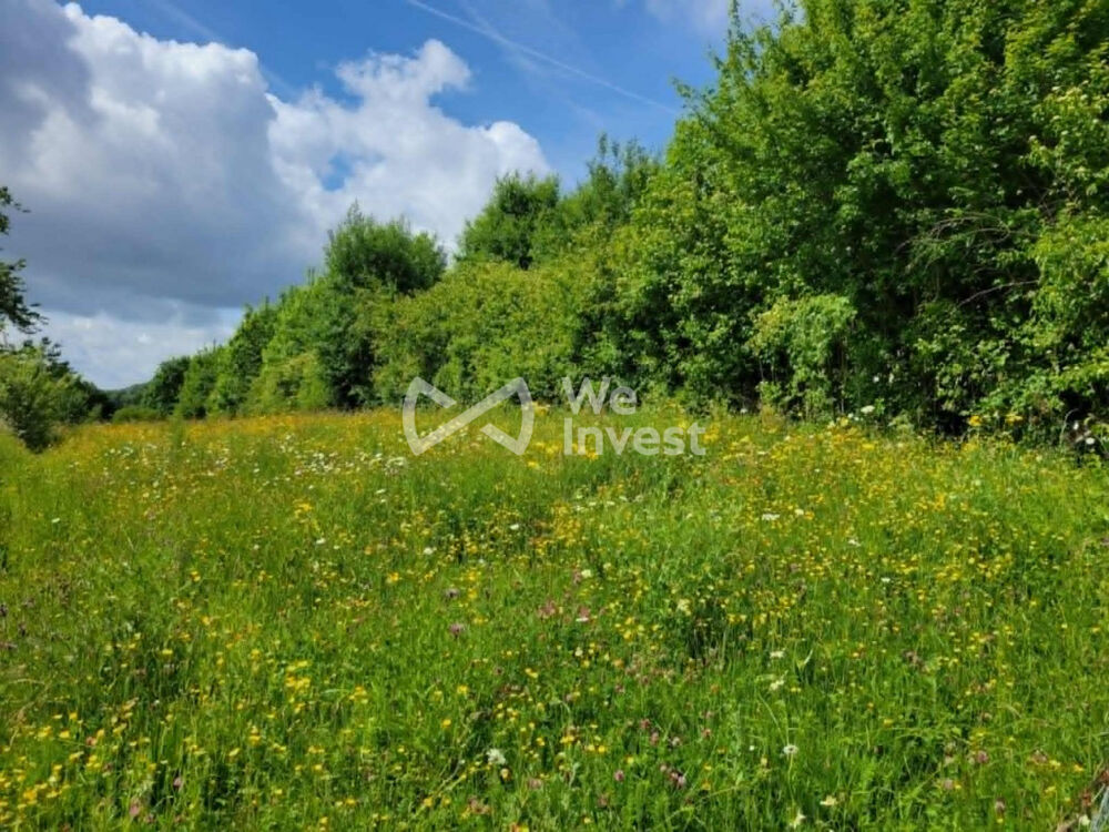 Vente Terrain Terrain à vendre VILLERS CERNAY Villers cernay