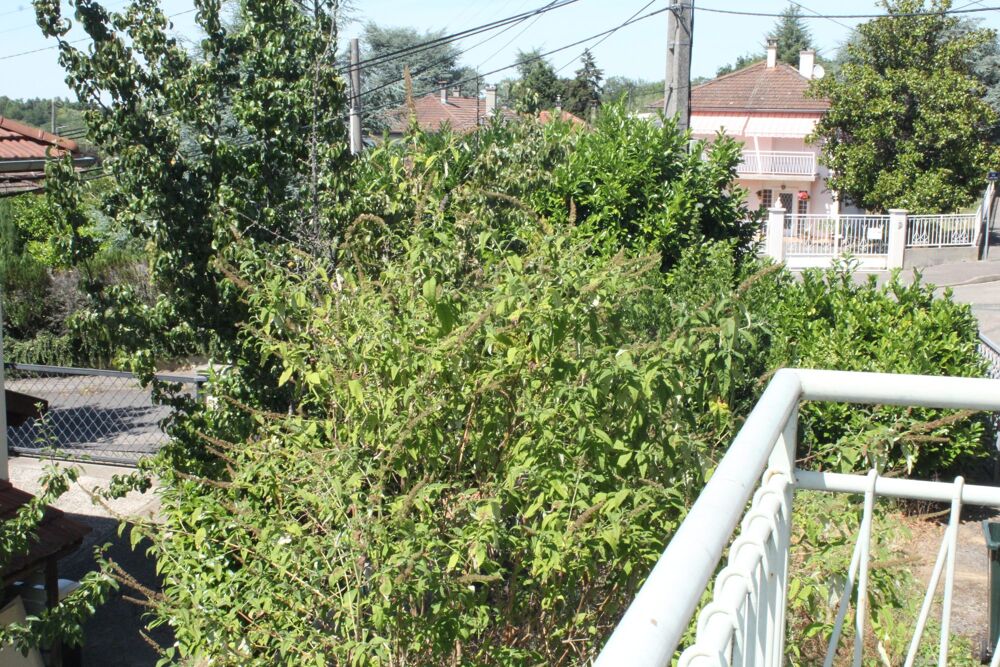 Vente Maison Maison à vendre Rillieux-la-Pape Rillieux-la-pape