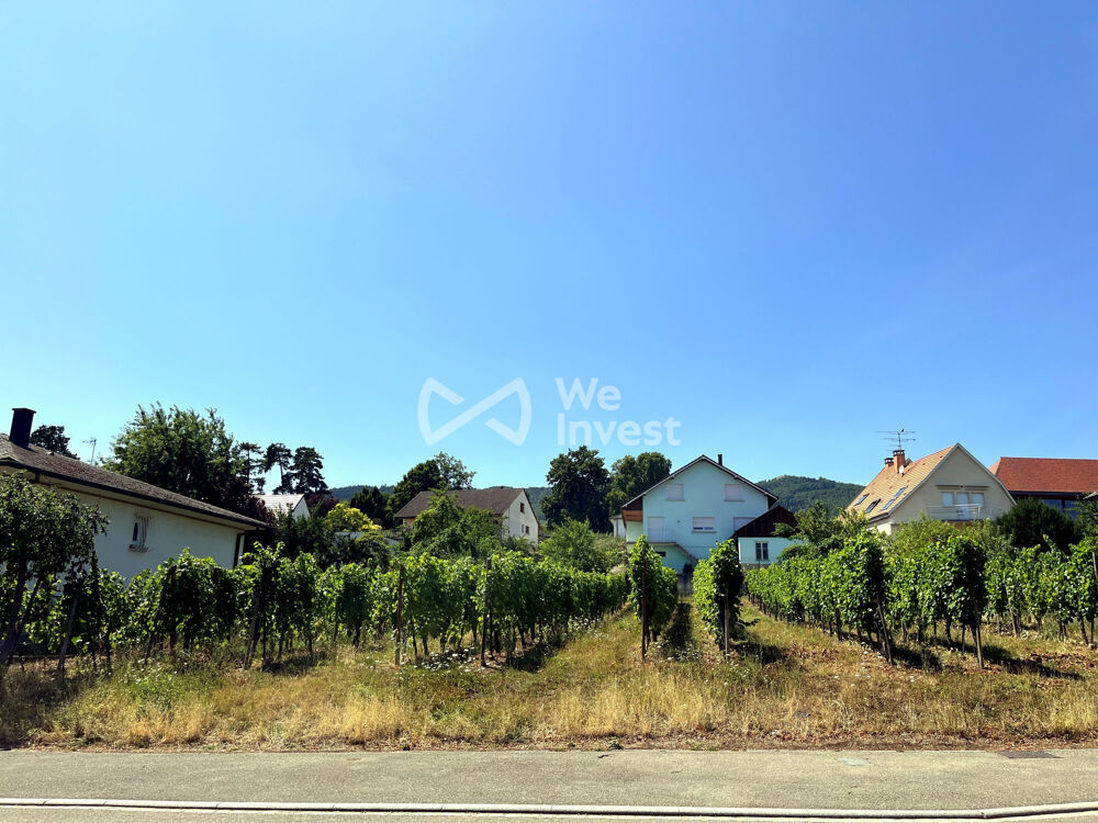 Vente Terrain Terrain constructible Wettolsheim Wettolsheim