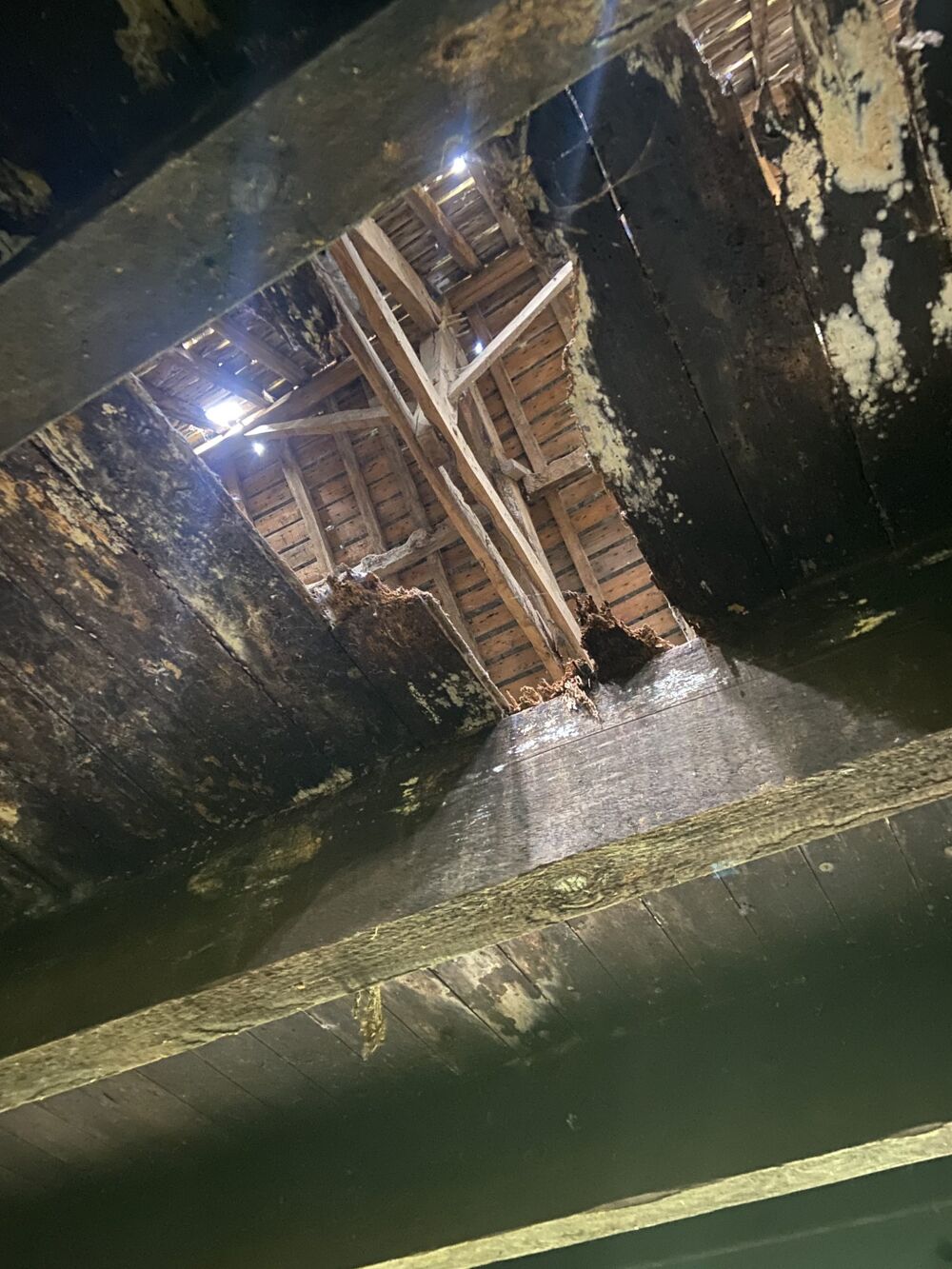 petite bâtisse en pierres mitoyenne à rénover