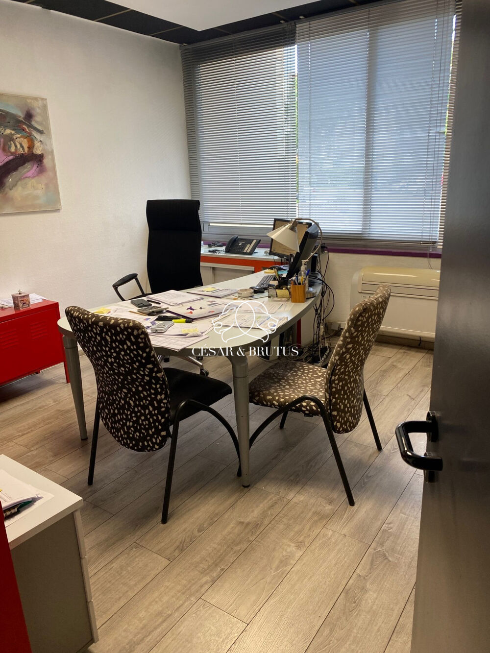   Immobilier Professionnel à vendre Villeurbanne Villeurbanne
