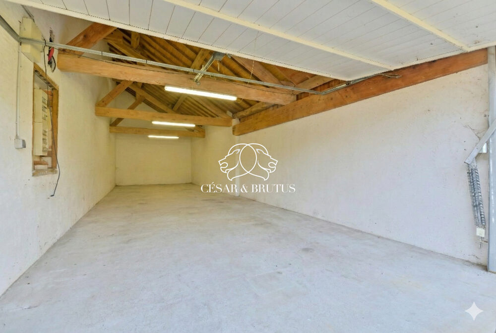 � vendre  Maison Montluel (01120)