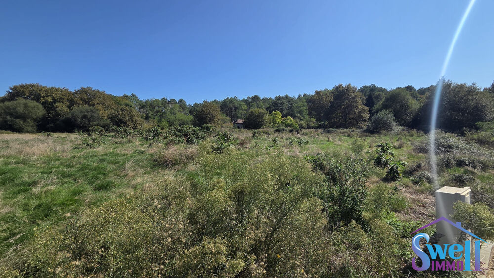   Au calme face à zone naturelle, terrain à bâtir borné, racco 