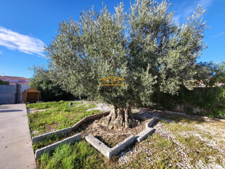  Maison � vendre 4 pi�ces 210 m�