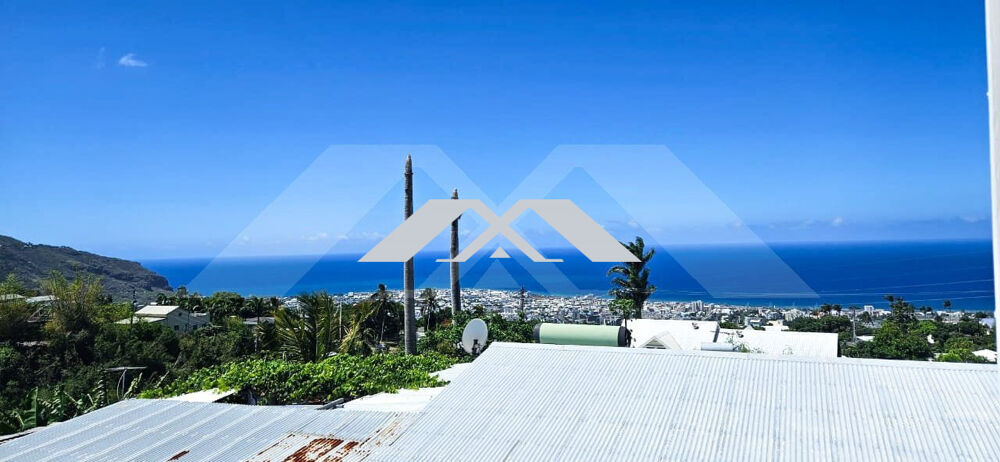 � vendre  Maison Saint-Denis (97400)