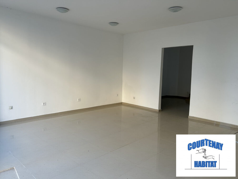 Vente Appartement Immeuble Courtenay