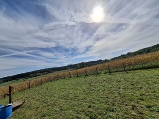  Terrain � vendre 11450 m�