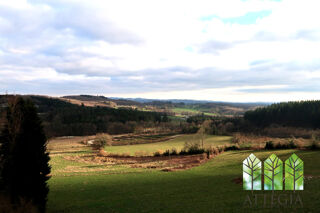  Propri�t�/ch�teau � vendre 15 + pi�ces 495 m�