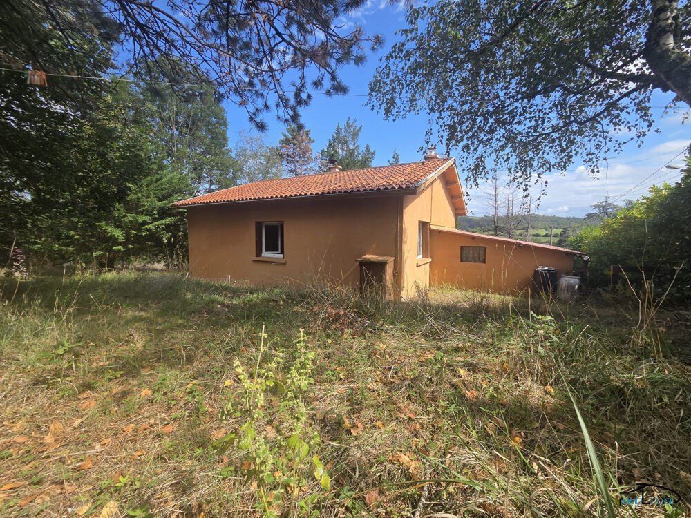 Maison avec grand terrain constructible