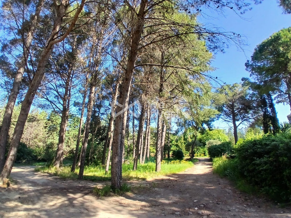 Vente Maison Maison à vendre Clermont-l'Hérault Clermont-l'hérault