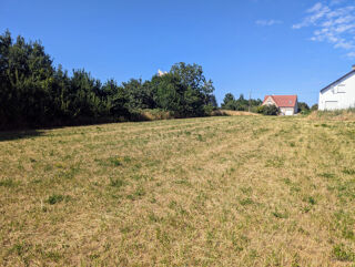  Terrain à vendre 2900 m² Tromborn