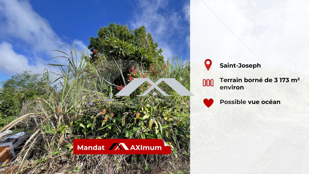 Vente Terrain Terrain environ 2800 m² constructible Les lianes - Saint Joseph Saint-joseph