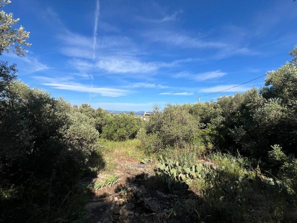   TERRAIN A BATIR LA CIOTAT 