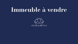  Immeuble à vendre 570 m² Saint-Étienne
