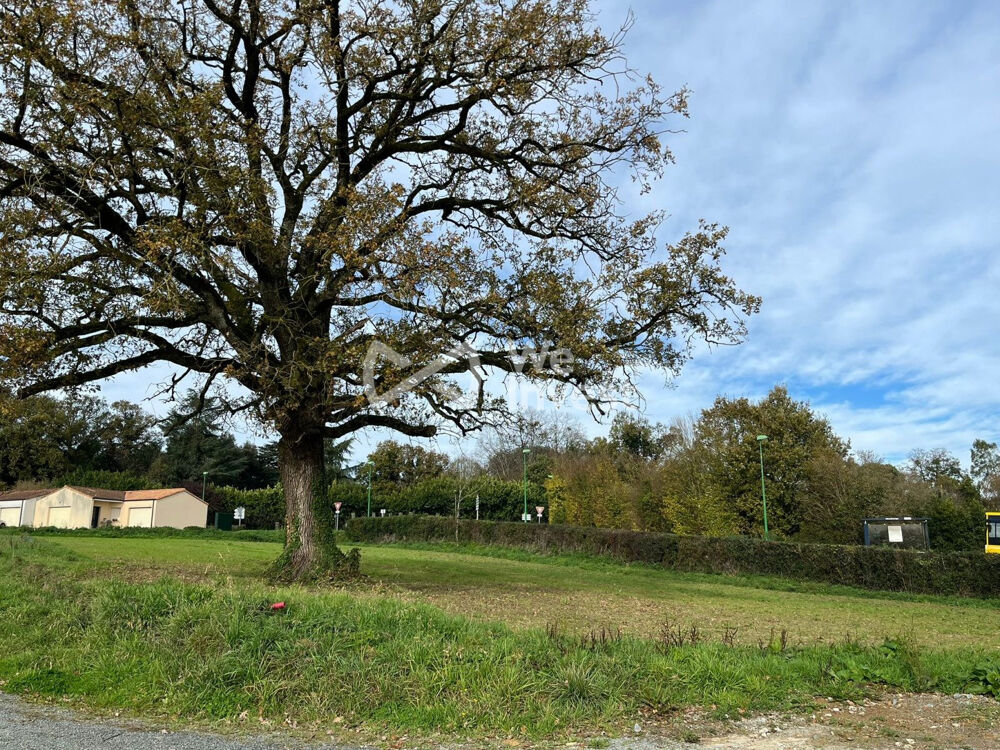 Vente Terrain Terrain pour construction proche des Herbiers Mouchamps