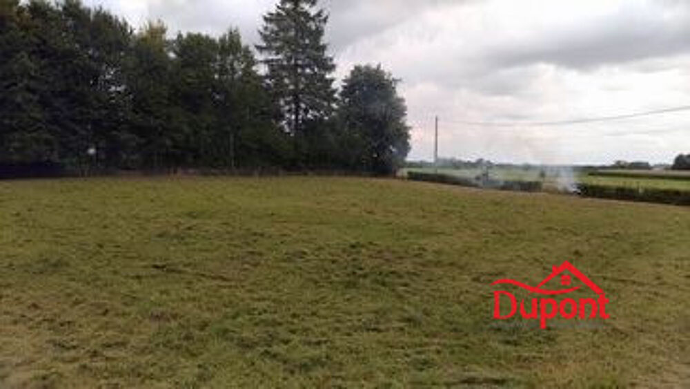 Vente Terrain Magnifique terrain constructible de 2165m2 Watigny