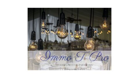   Produit Unique RESTAURANT LICENCE IV Murs & Fonds 
