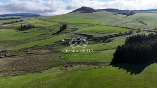  Maison � vendre 5 pi�ces 226 m�