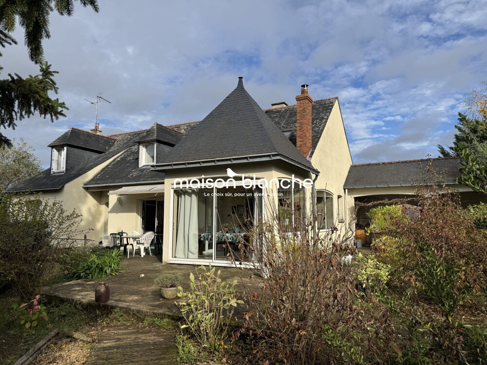 Maison lumineuse avec piscine  10 000 m² de terrain  Saum