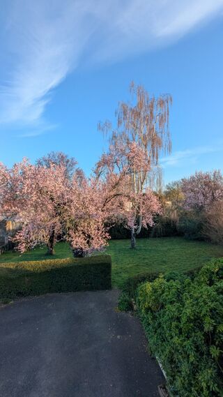  Maison � vendre 6 pi�ces 142 m�