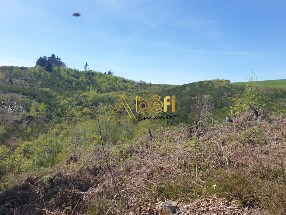   TERRAIN BOISE D'EXCEPTION AVEC SOURCE NATURELLE 