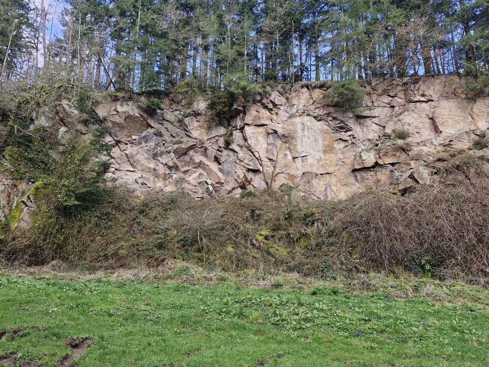 Vente Terrain BOIS Torigny-les-villes
