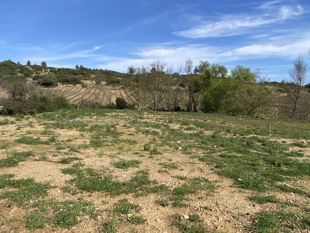 Vente Terrain Terrain constructible viabilisé 996m2 Cessenon-sur-orb