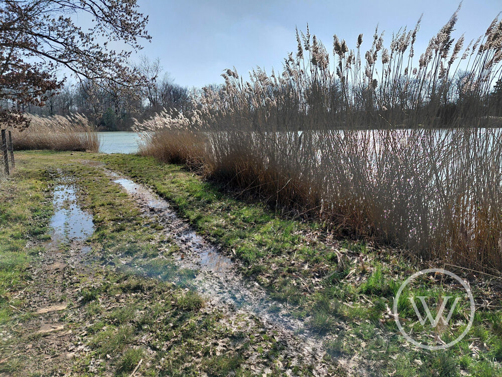 Vente Terrain VENTE ETANG DE 2 HECTARES Bossieu