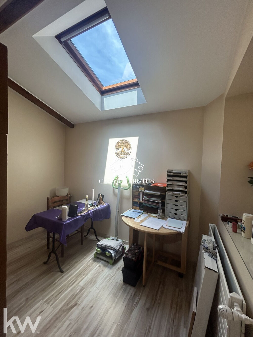  vendre  Maison Villeurbanne (69100)