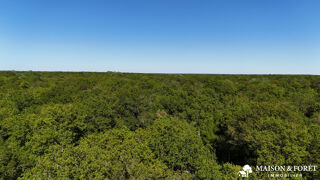  Terrain à vendre 380335 m²