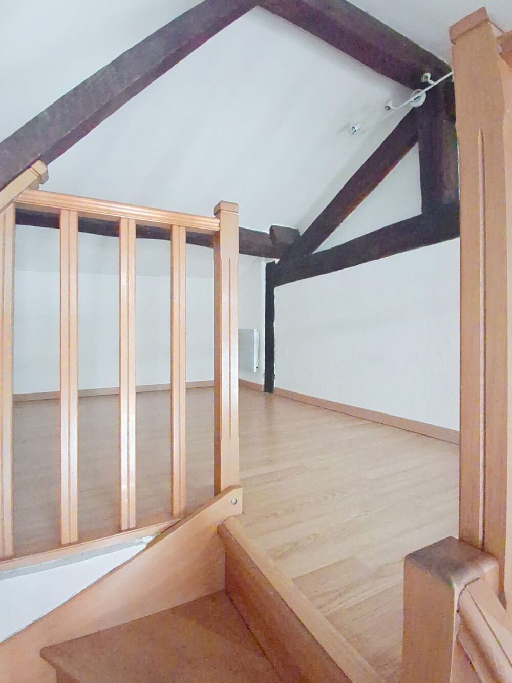 Location Appartement Appartement T2 bis plein de charme Albi