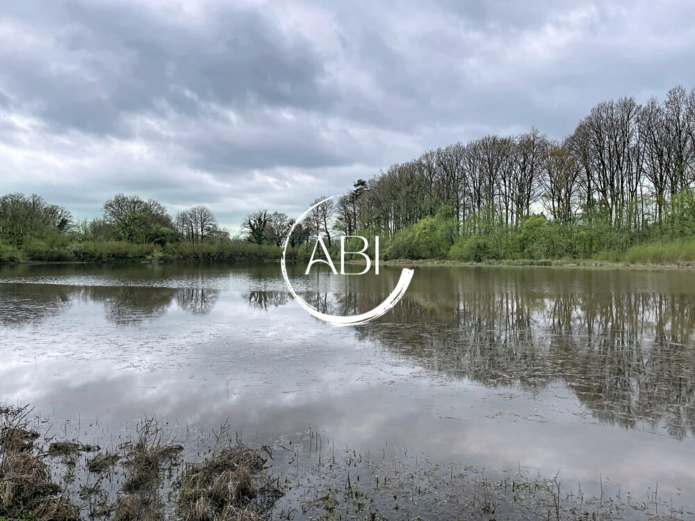 Vente Terrain Sur 7.14 ha, bois et étang de 2 ha Tessé-froulay