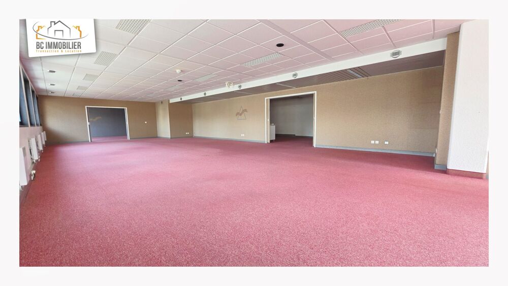   Immobilier Professionnel à vendre Ferney-Voltaire Ferney-voltaire