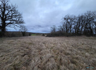  Terrain à vendre 9931 m²