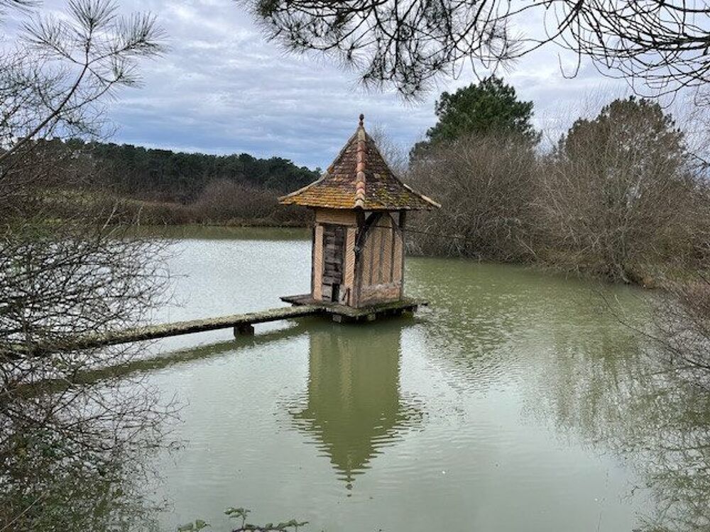 Propriété au calme