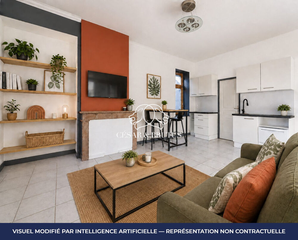 Vente Appartement Agréable T2 facile à vivire Neuville-sur-saône