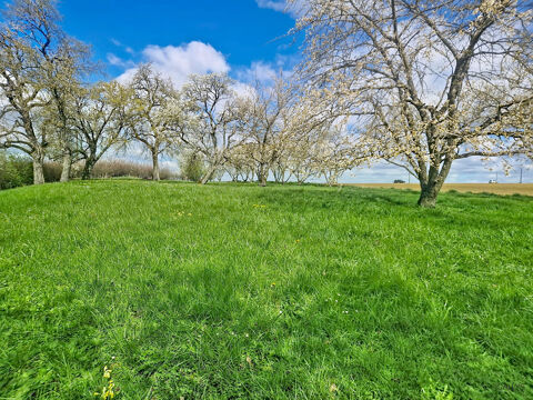 Terrain &agrave; Vendre Jouaville 85000 54800 Jouaville