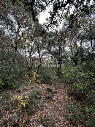  Terrain � vendre 33565 m�