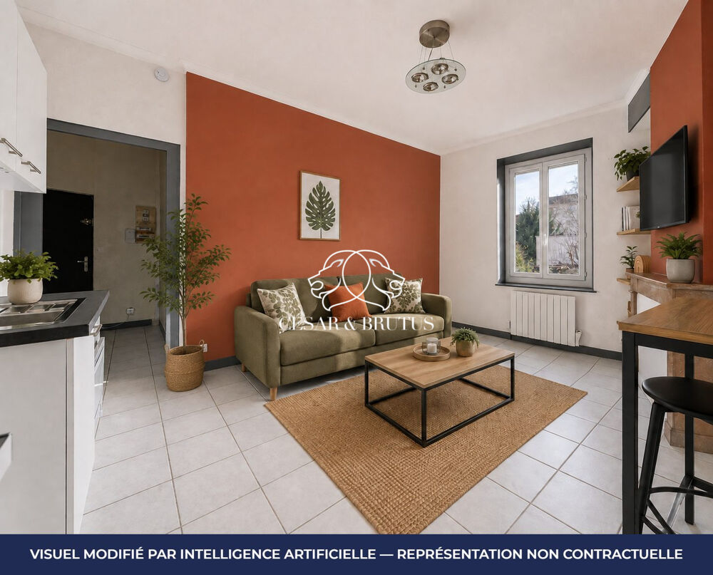 Vente Appartement Agréable T2 facile à vivire Neuville-sur-saône