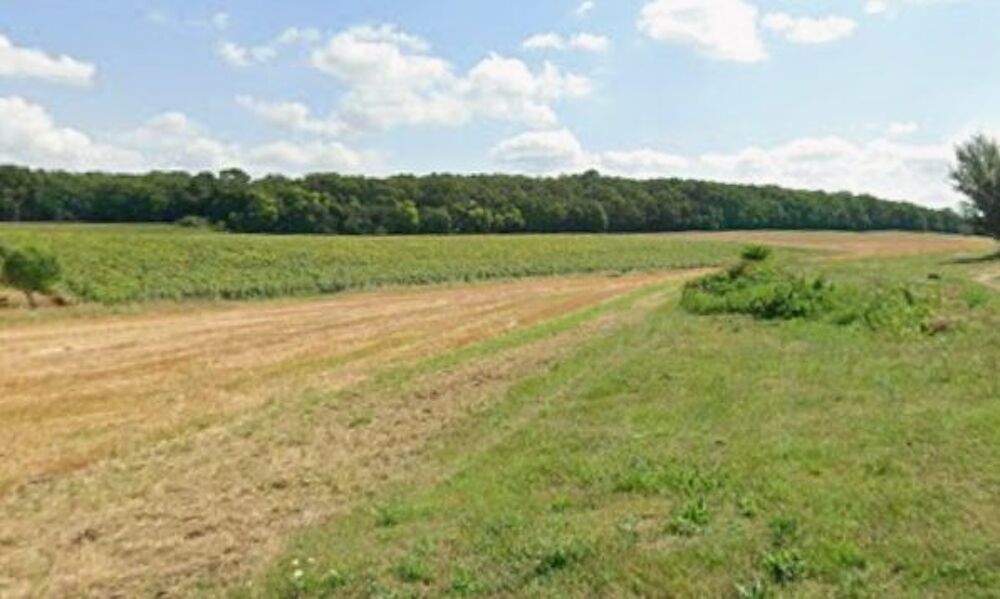 Vente Maison Propri�t� de caract�re dans un environnement verdoyant � Fo L'�le-bouchard