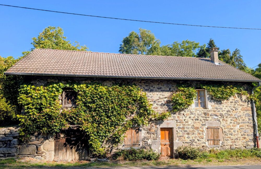 Vente Maison Ferme à rénover sur 3200 m2 de terrain Yssingeaux