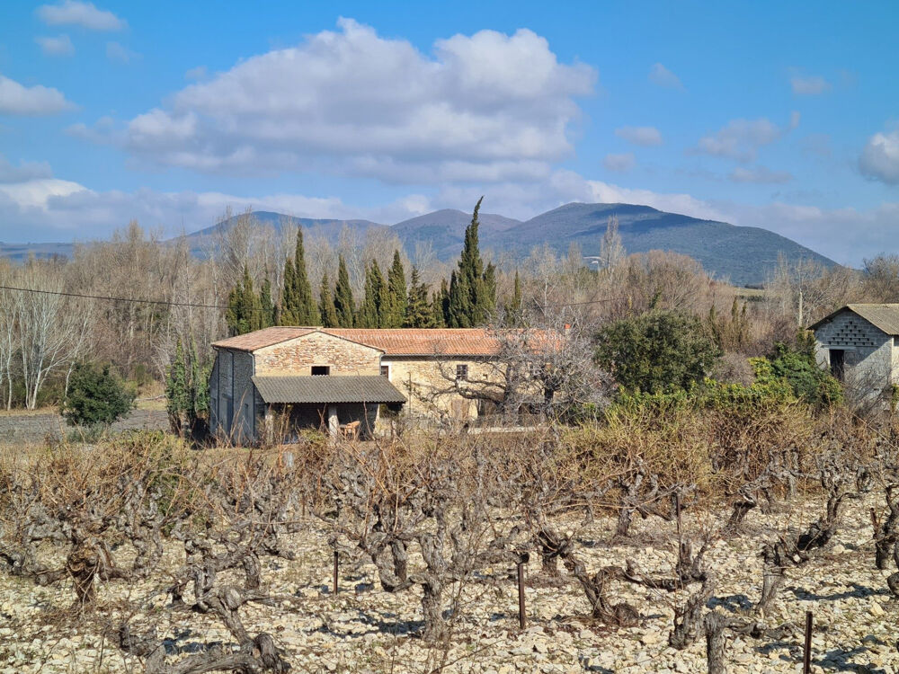 Vente Maison Ferme typiquement provençale avec grand terrain Grignan