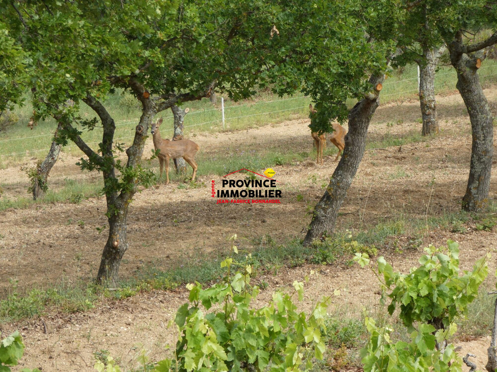 Vente Terrain PARCELLE DE VIGNES CEPAGE GRENACHE ET CARIGNAN Rochegude