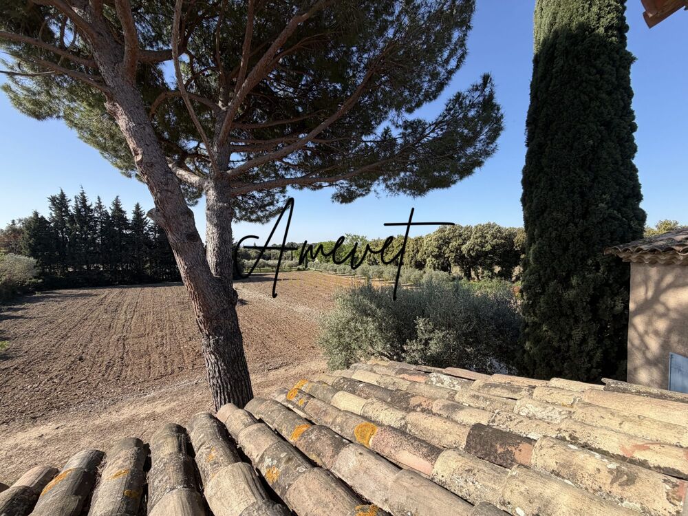 Vente Maison Maison familiale avec piscine à Vedène, très proche de Saint- Vedène